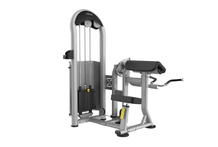 Professional sport zali uskunalari Biceps Curl